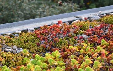 the cost of Auchtertool green roof installation