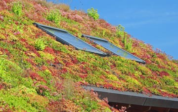 Auchtertool living roof systems