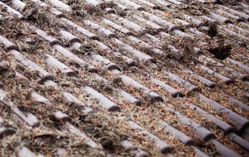 Auchtertool roof cleaning companies